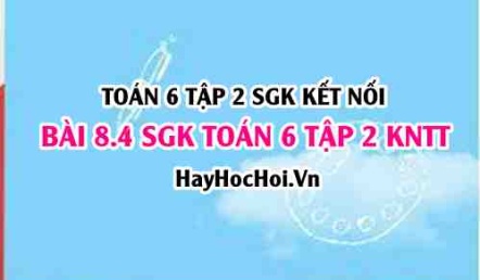 Bài 8.4 SGK Toán 6 tập 2 Kết nối tri thức